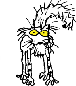 drama-classroom-management-cat