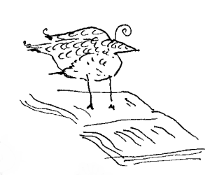 KK-buttons book bird