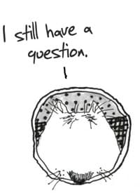 FAQ Form Question FAQ Form Question