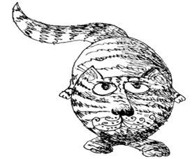 Drama Cat