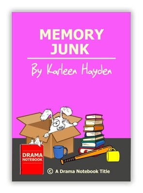 Memory Junk