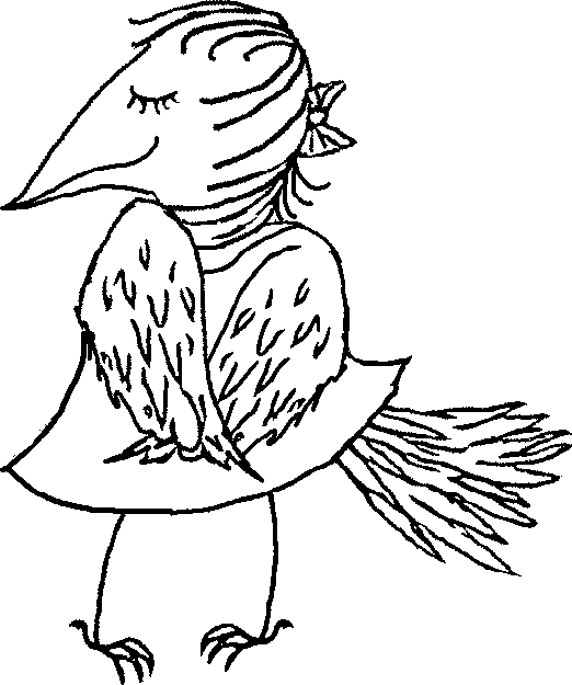Shy Crow Shy Crow
